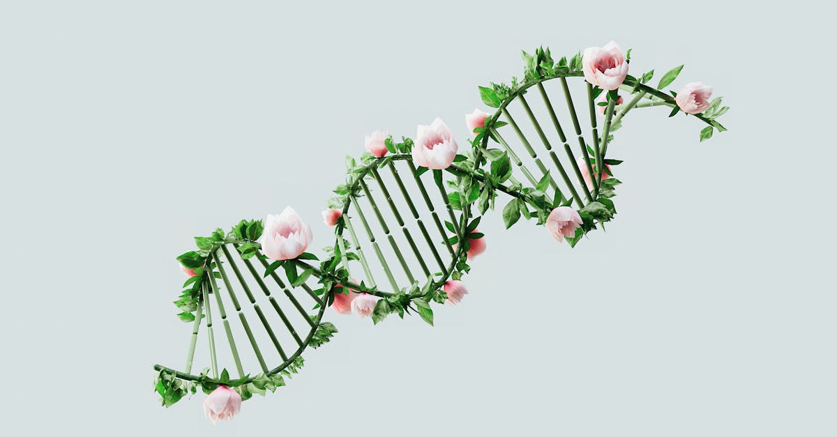 A creative representation of a DNA helix using flowers and leaves, symbolizing nature and biotechnology.